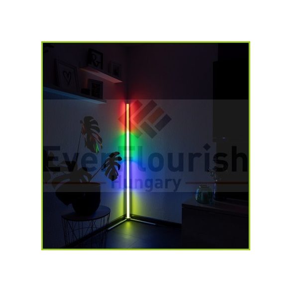 LED passion sarok állólámpa 20W RGB/W 2000lm 2200001520