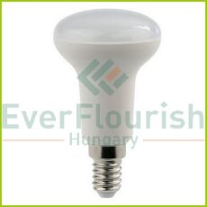 LED fényforrás, E14, spot, 6.0W R50 8159H