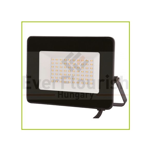 LED floodlight "EcoSpot2" 50W 5000lm, black, IP65 8175H