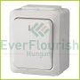 IT WATER 2 pole switch, surface mount IP54 snow white 9851H