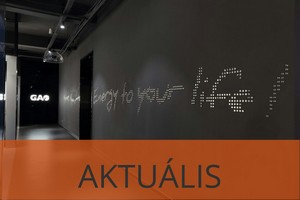 EverFlourish Hungary Kft