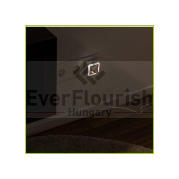 Irányfény LED kompakt, alkonykapcsolóval, aljzattal 0.5 W 0029300003