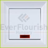 BUSINESS LINE váltókapcsoló jelzőfénnyel 0501482551