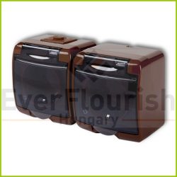   Aquastar 2-es földelt dugalj, átlátszó csapfed IP54, barna (22121B)