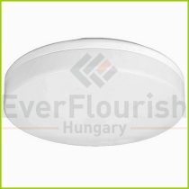 LED mennyezeti lámpatest, GAMMA, 12W 4000K 191091