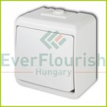 Aquastar 2-pol switch, surface mounted, IP44, white 22181