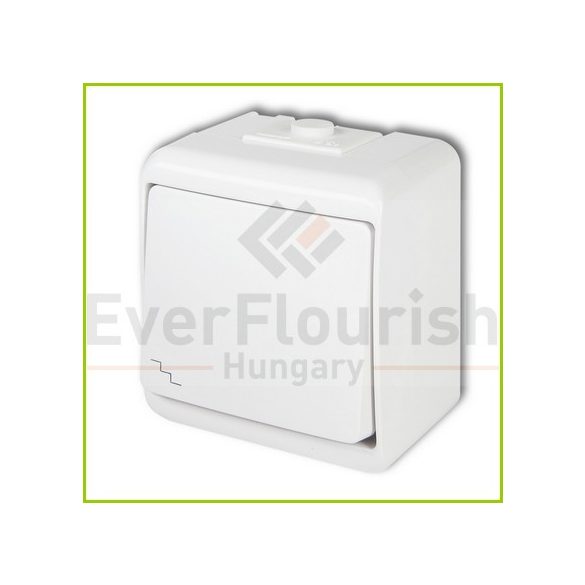 Aquastar váltókapcsoló, jelzőfényes IP54, fehér (22241)