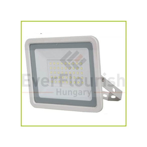 LED fényvető "Flare2" 30W fehér 3300lm 6500K IP65 8192H